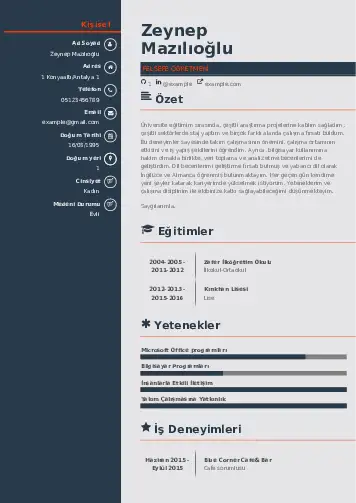 Felsefe Öğretmeni CV Örnekleri cv indir